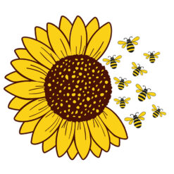 Tee Shirt Printed Bee Quotes Sunflower