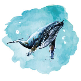 Alternative view of Tee Shirt Printed Beautiful Whale