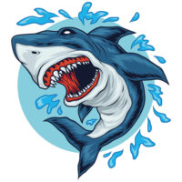 Tee Shirt Printed Beautiful Shark