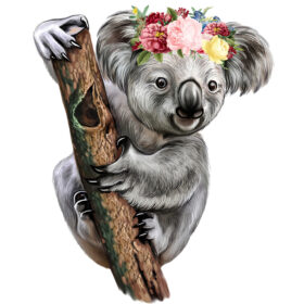 Tee Shirt Printed Beautiful Koala