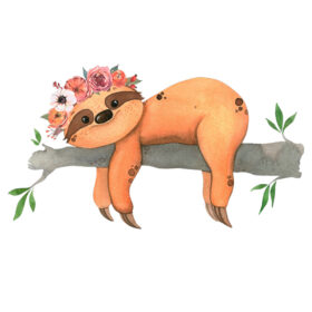 Tee Shirt Printed Beautiful Sloth