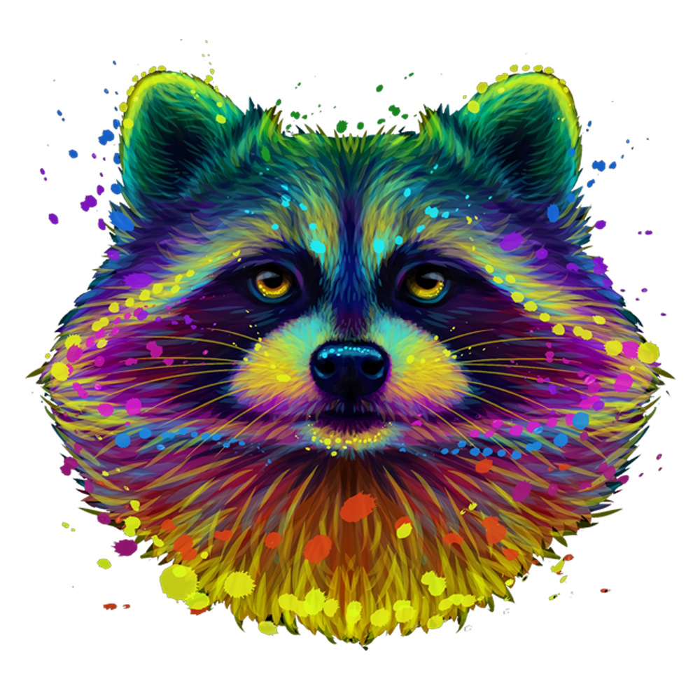 Tee Shirt Printed Beautiful Racoon - Image 2