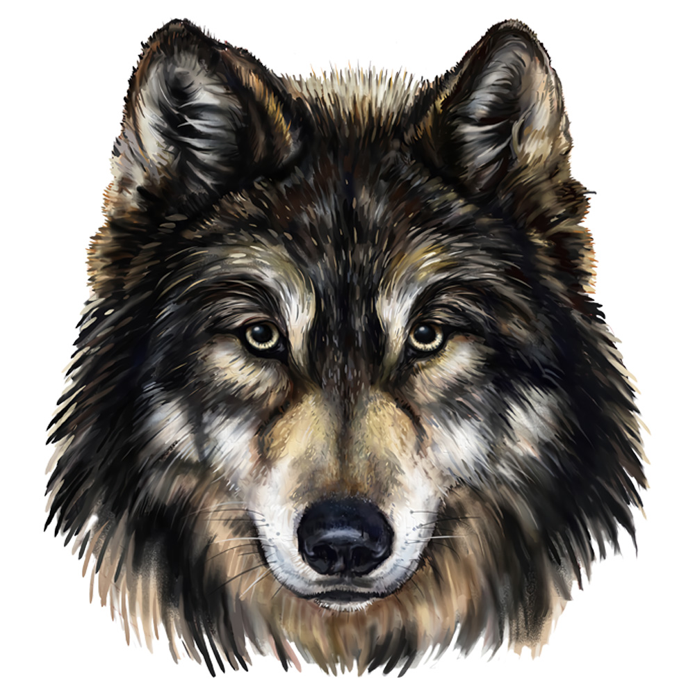 Tee Shirt Printed Beautiful Wolf Dark