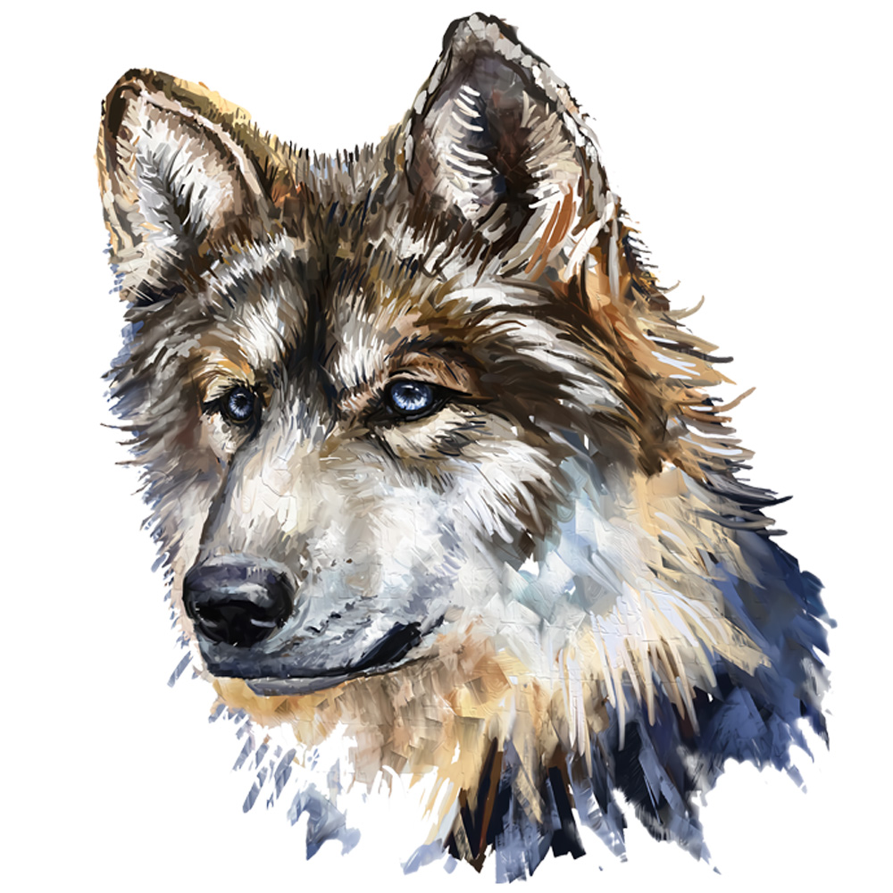 Tee Shirt Printed Beautiful Wolf Light - Image 2