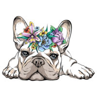 Tee Shirt Printed Beautiful Pug with Flowers