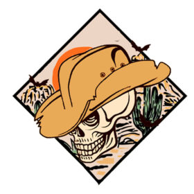 Tee Shirt Printed Edgy Skull in Hat