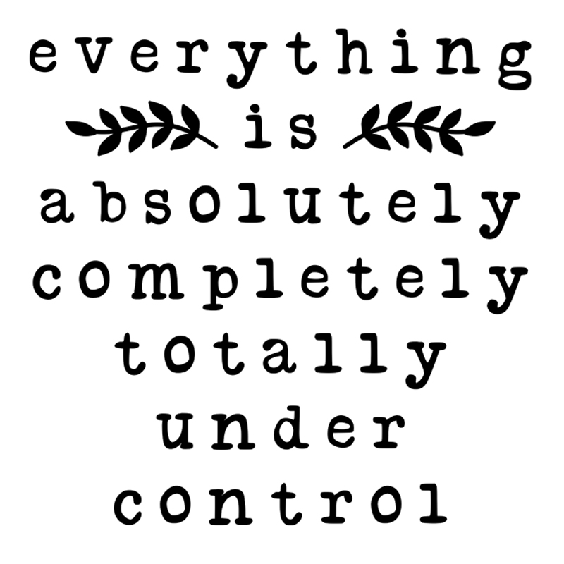 Tee Shirt Printed Sarcastic Totally Under Control