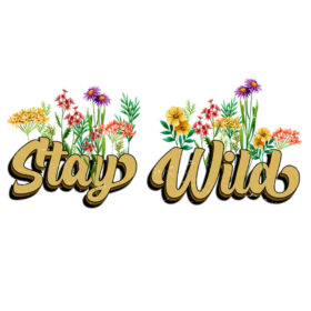Tee Shirt Printed Vintage Stay Wild