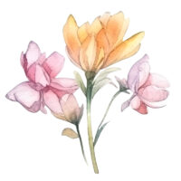 Tee Shirt Printed Beautiful Florals Watercolor Art #05