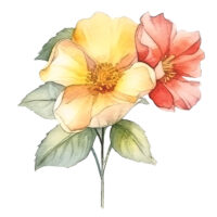 Tee Shirt Printed Beautiful Florals Watercolor Art #06