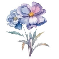 Tee Shirt Printed Beautiful Florals Watercolor Art #08