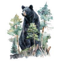 Tee Shirt Printed Beautiful Art Black Bear Watercolor Art #03
