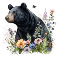 Tee Shirt Printed Beautiful Art Black Bear Watercolor Art #10