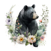 Tee Shirt Printed Beautiful Art Black Bear Watercolor Art #11