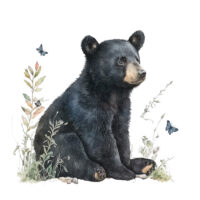 Alternative view of Tee Shirt Printed Beautiful Art Black Bear Watercolor Art #13
