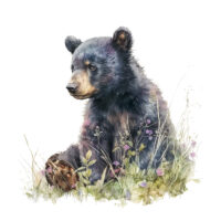 Alternative view of Tee Shirt Printed Beautiful Art Black Bear Watercolor Art #14