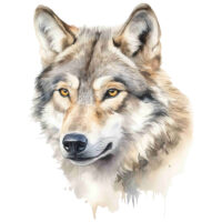 Alternative view of Tee Shirt Printed Beautiful Wolf Watercolor Art #06