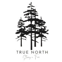 Alternative view of Tee Shirt Printed Canada True North Strong & Free 3 Trees