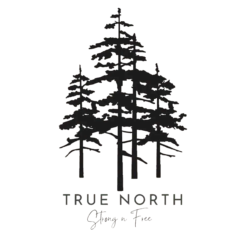 Tee Shirt Printed Canada True North Strong n Free 3 Trees Imagery - Image 4