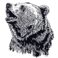 Alternative view of Tee Shirt Printed Sketch Monotone Bear Art #02