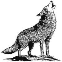 Alternative view of Tee Shirt Printed Sketch Monotone Wolf Art #05
