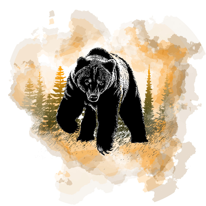 Tee Shirt Printed Beautiful Watercolor Art Bear in Orange Haze - Image 4