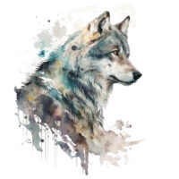 Tee Shirt Printed Beautiful Watercolor Art Fierce Forest Wolves #10