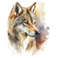 Alternative view of Tee Shirt Printed Beautiful Watercolor Art Fierce Forest Wolves #12