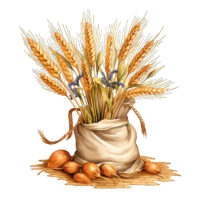 Tee Shirt Printed Farm Life Farming Golden Wheat #03