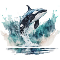 Alternative view of Tee Shirt Printed Marine Life Watercolour Art Killer Whale #06