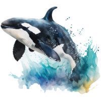 Alternative view of Tee Shirt Printed Marine Life Watercolour Art Killer Whale #07