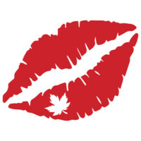 Alternative view of Tee Shirt Printed Canada True North Kiss My Eh Proud as Puck #02