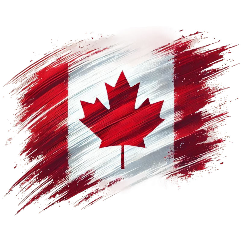 Tee Shirt Printed Canada Flag Brush Strokes A #01 - Image 3