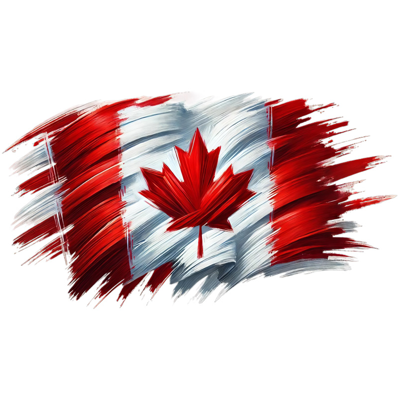 Tee Shirt Printed Canada Flag Brush Strokes D #04 - Image 3