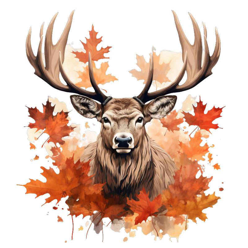 Tee Shirt Printed CANADIAN WILDLIFE Woodland Animals Maple Leaves #04 - Image 3