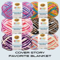 Cover Story Favorite Blanket